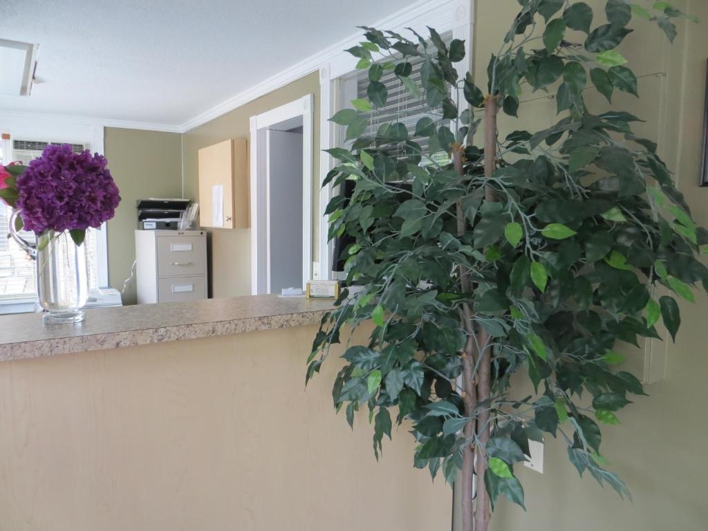 Harrison Village Motel Harrison Hot Springs Ngoại thất bức ảnh